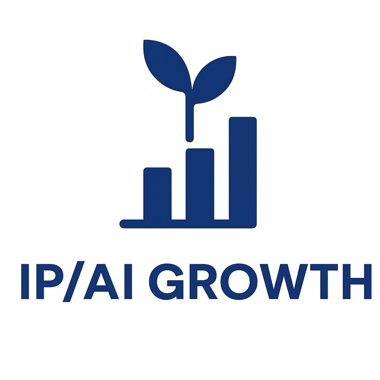 IPAI Audit
